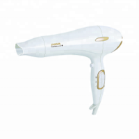 2000w Concentrator Hair Dryer